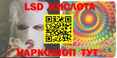 spice Кулебаки