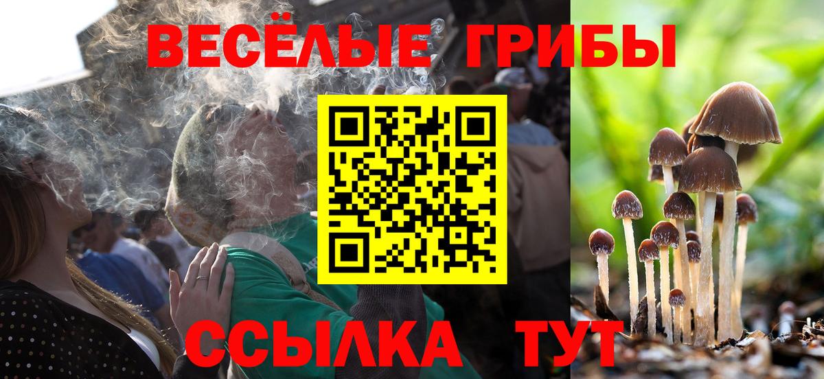 Галлюциногенные грибы MAGIC MUSHROOMS  даркнет сайт  Дзержинский  Вход с VPN 